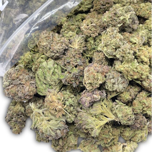 1/2p - TEXADA TIMEWARP (GREENHOUSE) (BULK) - SATIVA - (A)