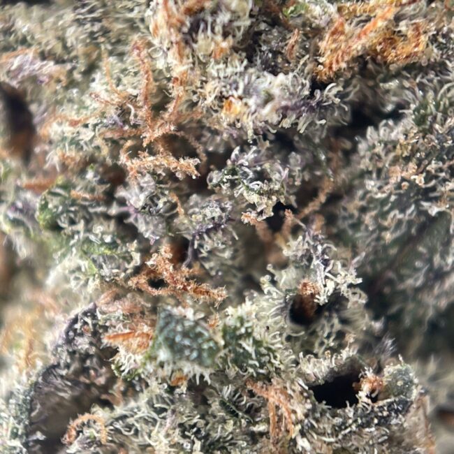 28gr - HAWAIIAN WINE - SATIVA - (AAAA) - Image 2