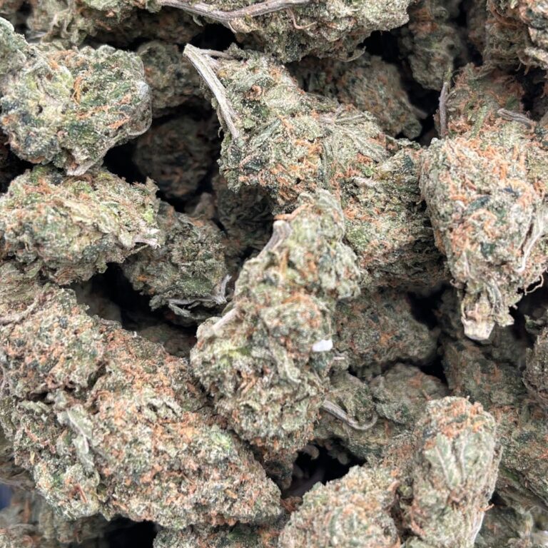 pp LSD B2