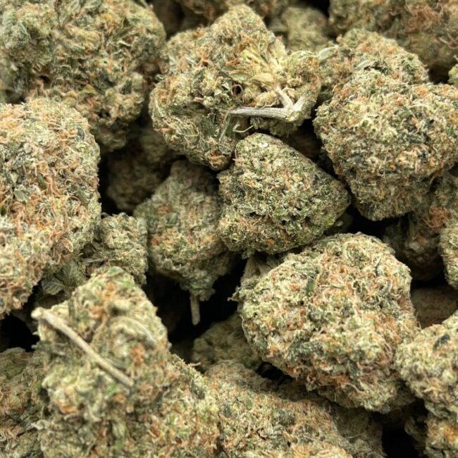 1/2p - ORANGE CRUSH (BULK) - SATIVA - (AAA) - Image 2