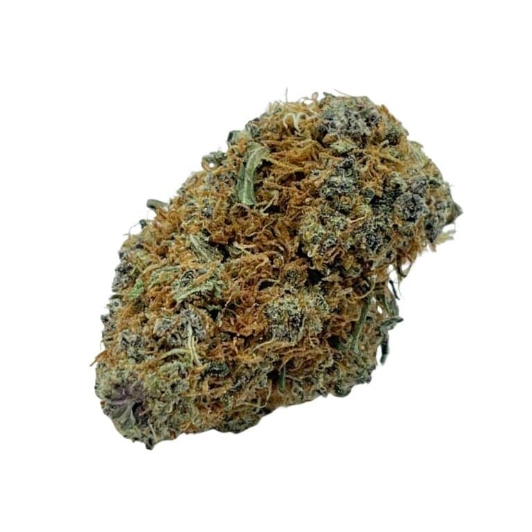 pp alaskin 1 (1)