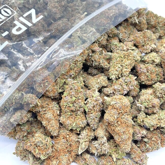 1/2p - ALASKAN THUNDER FUCK (BULK) - SATIVA - (AAA)