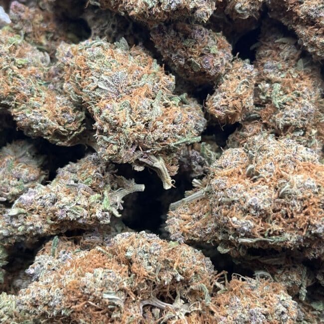 1/2p - ALASKAN THUNDER FUCK (BULK) - SATIVA - (AAA) - Image 2