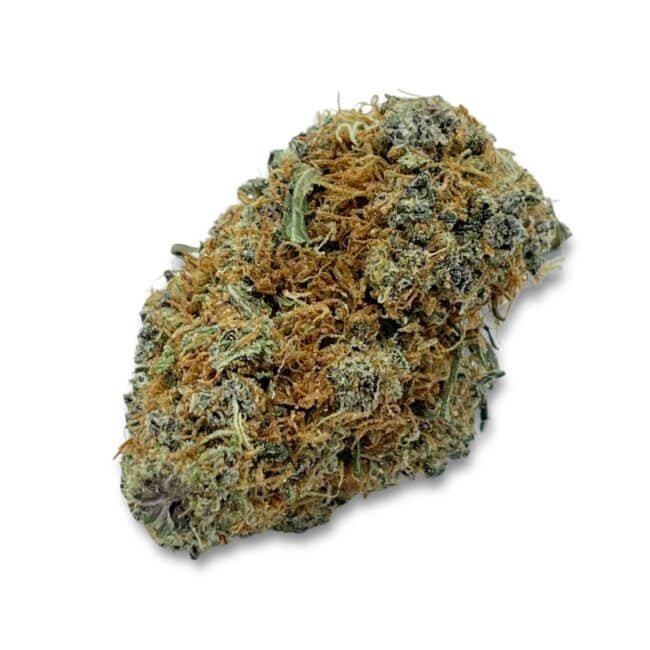 1/2p - ALASKAN THUNDER FUCK (BULK) - SATIVA - (AAA) - Image 3