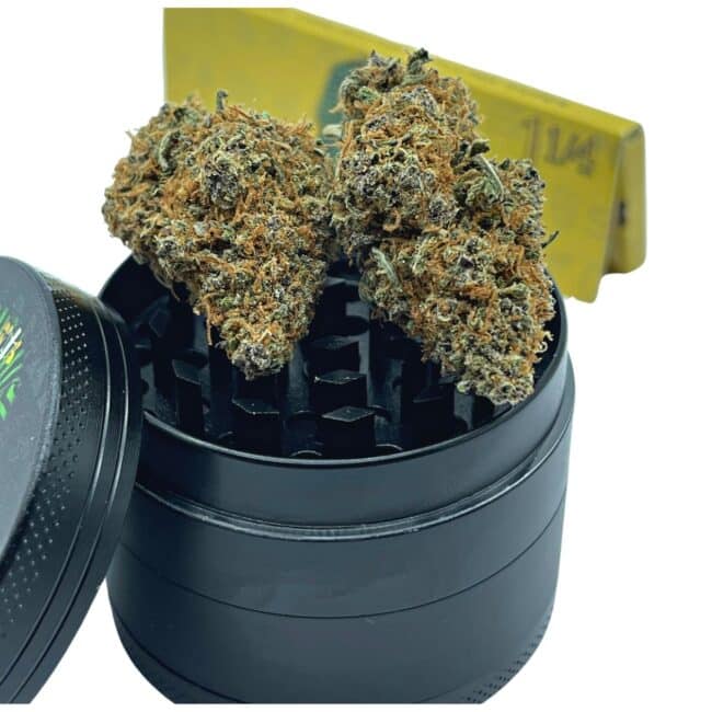 28gr - ALASKAN THUNDER FUCK - SATIVA - (AAA) - Image 4