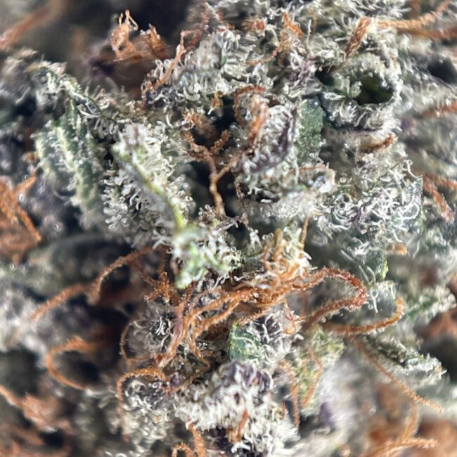 28gr - BLACK AFGHANI - INDICA - (AAA) - Image 2