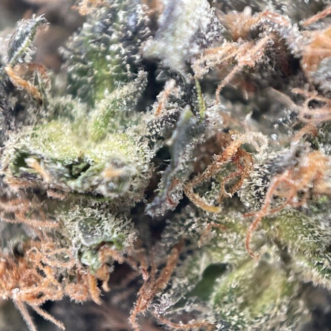 28gr - BUBBA FETT - INDICA - (AAAA) - Image 2
