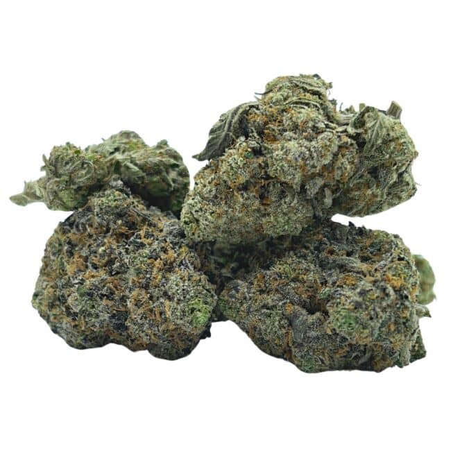 28gr - FROSTED FRUIT CAKE - BALANCED HYBRID - (AAA) - Image 3