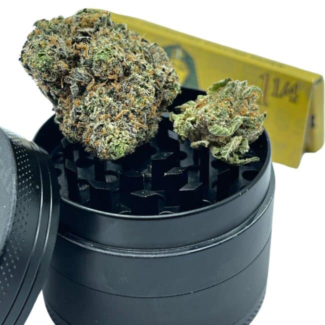 28gr - FROSTED FRUIT CAKE - BALANCED HYBRID - (AAA) - Image 4