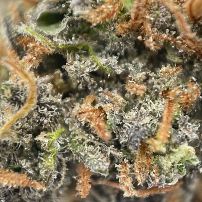 28gr - HAWAIIAN - SATIVA - (AAA) - Image 2