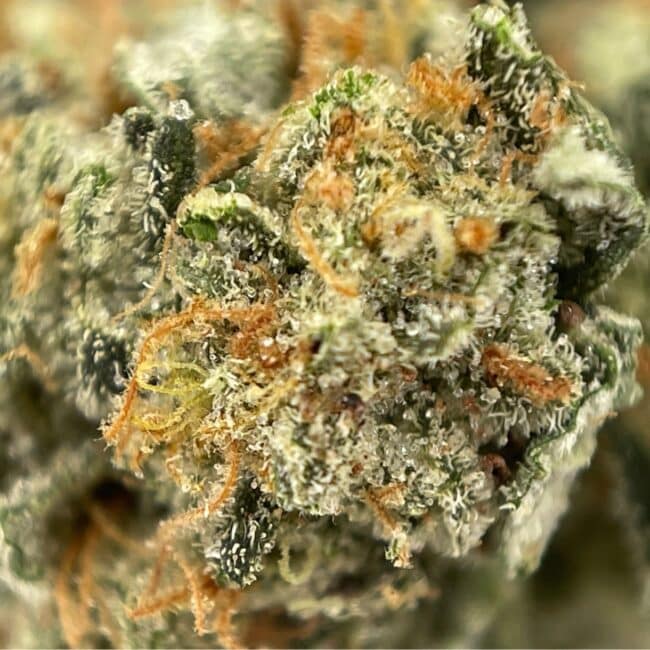 28gr - LA CAKE (SMALLS) - BALANCED HYBRID - (AAA) - Image 2