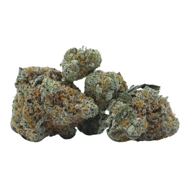 28gr - ROCKSTAR TUNA - INDICA -(AAA) - Image 3