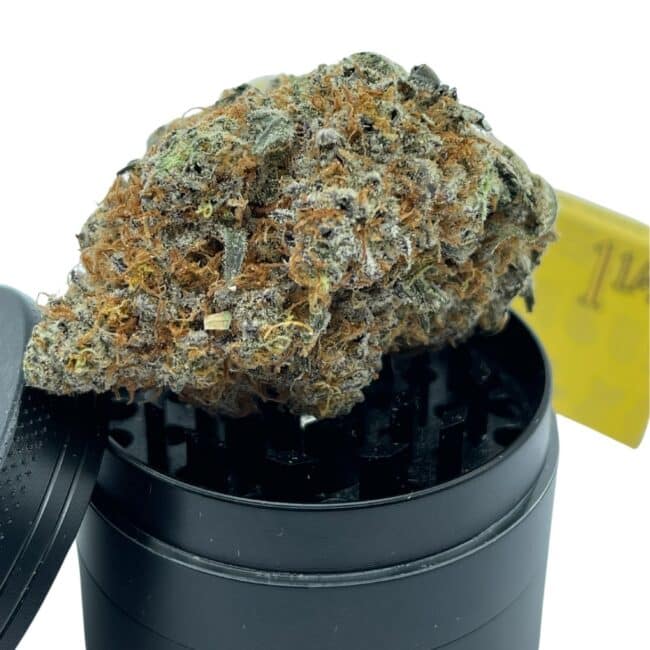 28gr - ROCKSTAR TUNA - INDICA -(AAA) - Image 4