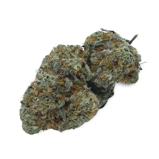 28gr - ROCKSTAR TUNA - INDICA -(AAA)