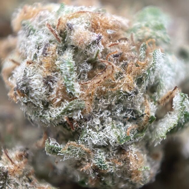 28gr - WEDDING CAKE (SMALLS) - BALANCED HYBRID - (AAA) - Image 2