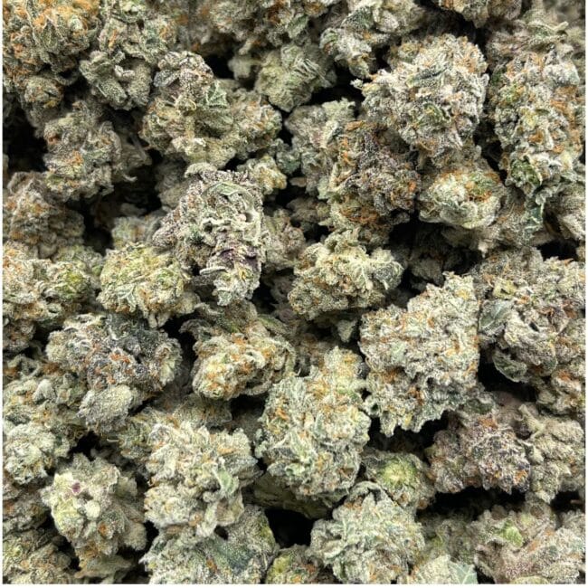 28gr - FROSTED GELATO (SMALLS) - BALANCED HYBRID - (AAA) - Image 3