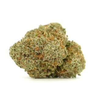 Close-up image of cannabis buds with frosty trichomes on a crisp white background