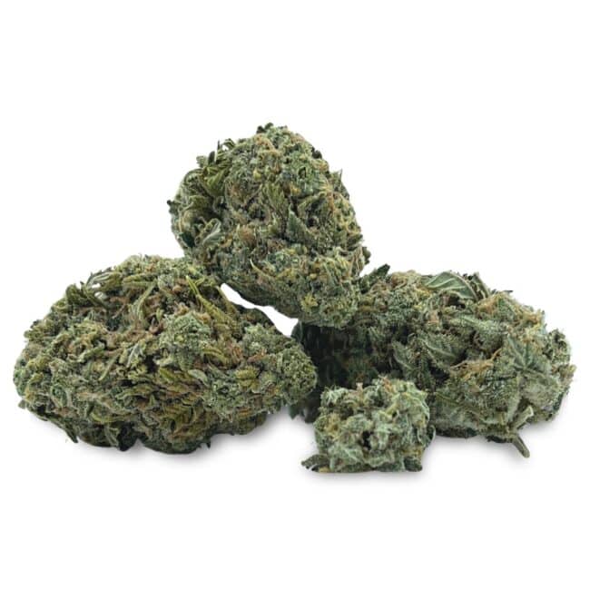 28gr - CEMENT SHOES - INDICA - (AA) - Image 3