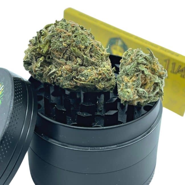 28gr - CEMENT SHOES - INDICA - (AA) - Image 4