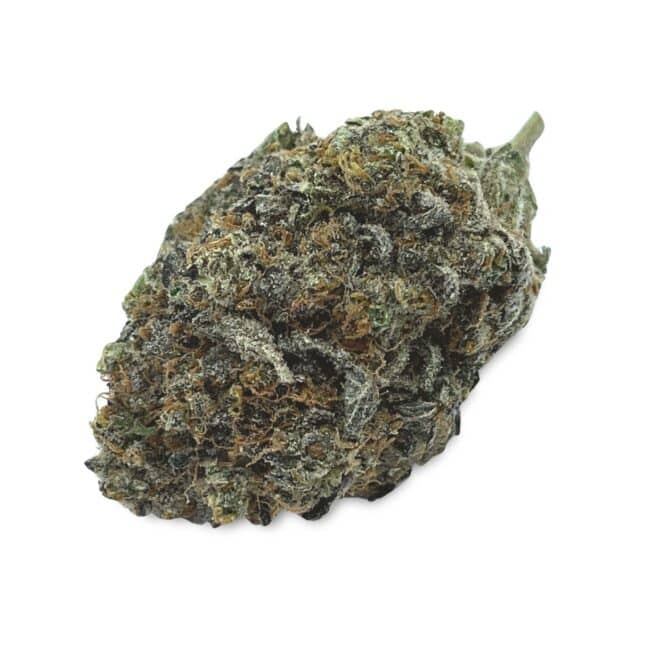 28gr - GRANDDADDY PURPLE - INDICA - (AAA)