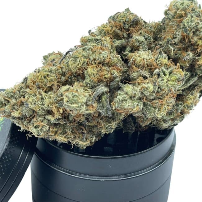 28gr - GRANDDADDY PURPLE - INDICA - (AAA) - Image 4