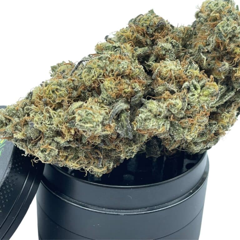 pp gdp 6