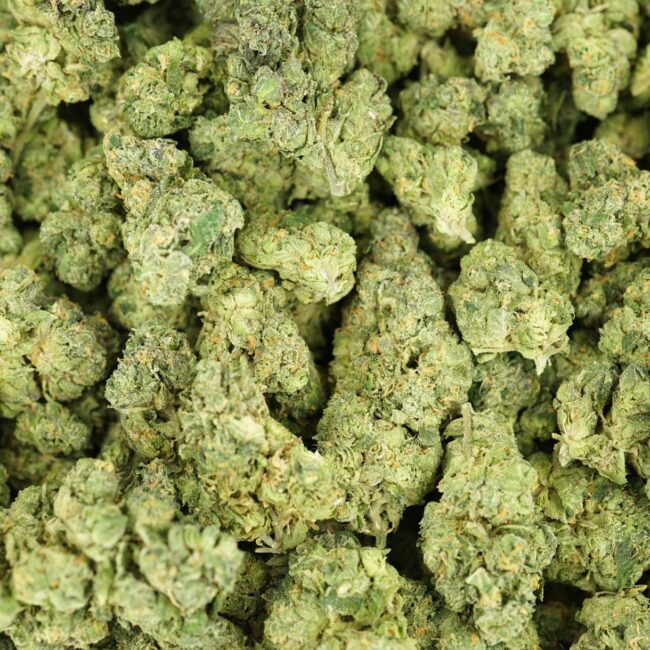 28gr - GIRL SCOUT COOKIES - BALANCED HYBRID - (AAA) - Image 3