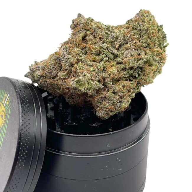 28gr - HELLA JELLY - SATIVA - (AAA) - Image 3