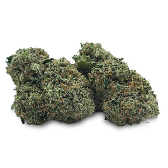 28gr - MASTER KUSH ULTRA - BALANCED HYBRID - (AAA) - Image 3