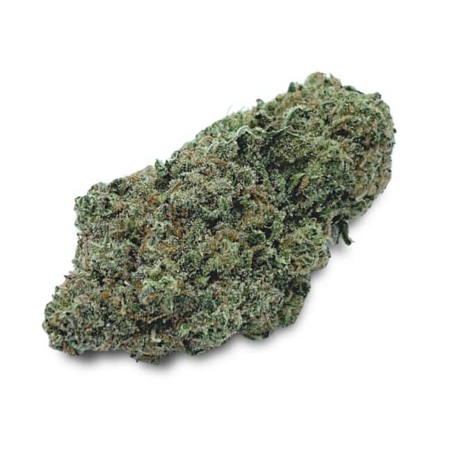 28gr - MAC N' CHEESE - INDICA - (AAA)