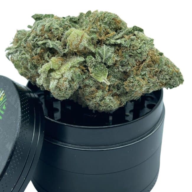 28gr - POWDERED DONUTS - INDICA - (AAA) - Image 4