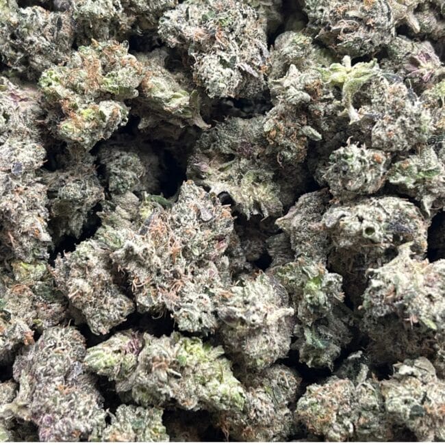 1/2p - PINK STAR (SMALLS) (BULK) - INDICA - (AAA) - Image 2