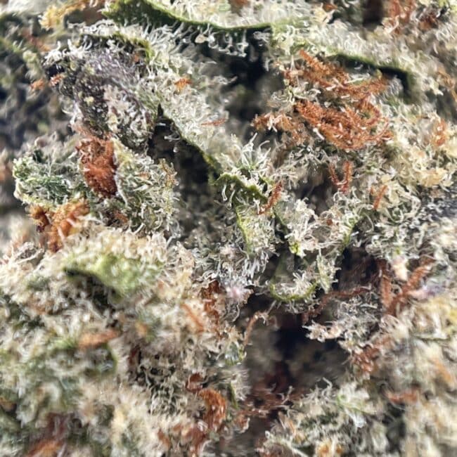 28gr - PLATINUM OG - INDICA - (AAA) - Image 2