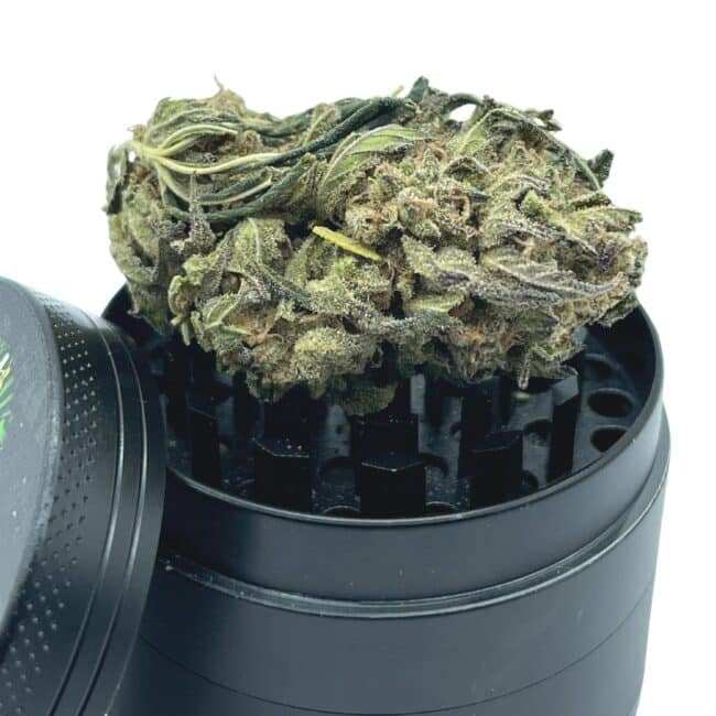 28gr - TEXADA TIMEWARP (GREENHOUSE) - SATIVA - (A) - Image 4