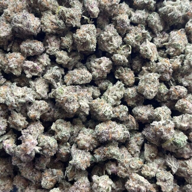 1/2p - ALIEN COOKIES (SMALLS) (BULK) - BALANCED HYBRID - (AAA) - Image 4