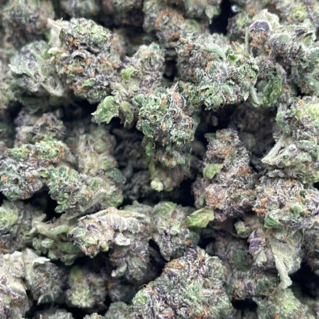 7gr - GRAPE 98 - INDICA - (AAAA) - Image 4