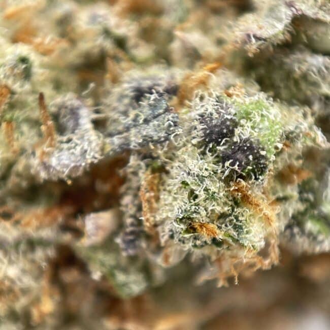 28gr - NATURAL BORN KILLER - INDICA - (AAAA) - Image 2