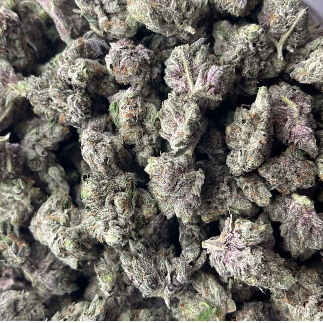 1/2p - PLATINUM PINK (SMALLS) (BULK) - INDICA - (AAA) - Image 4