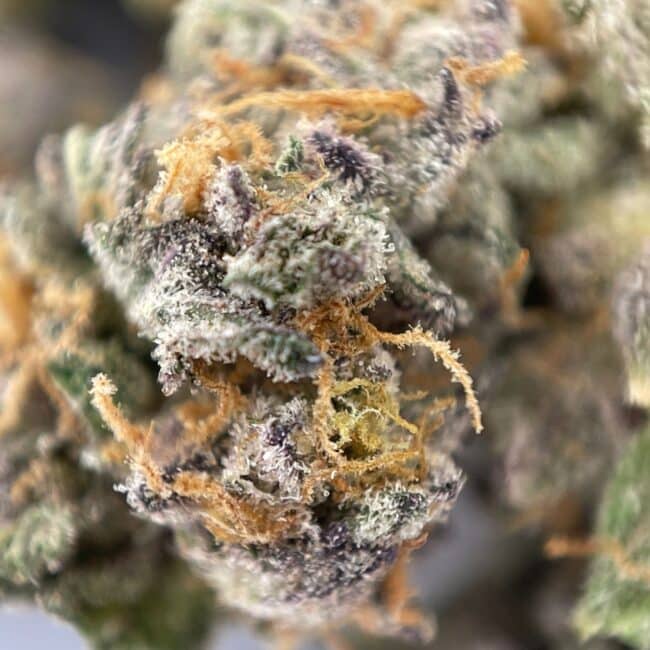 1/2p - PERMANENT MARKER (SMALLS) (BULK) - INDICA - (AAA) - Image 2