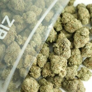 Close-up image of cannabis buds spilling out of a clear ZIP-ZAG plastic bag onto a white surface, showing dense green nugs with visible trichomes and orange hairs.