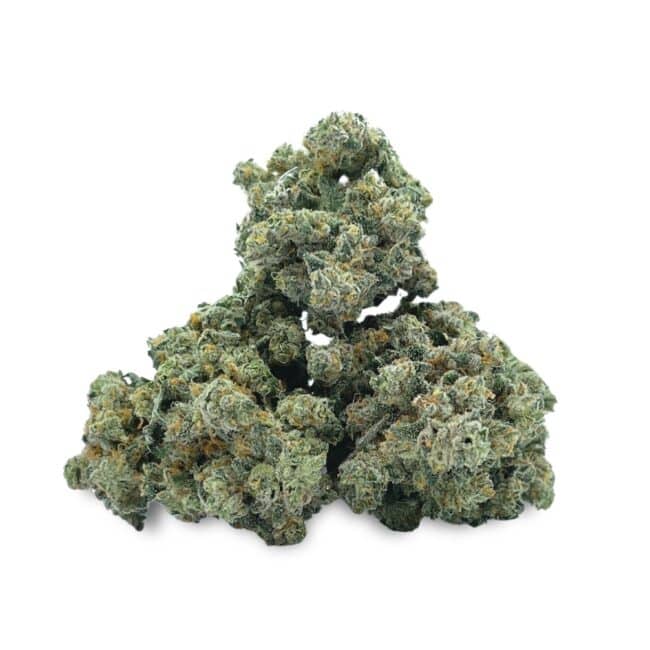 1/2p - WHITE RUNTZ (BULK) - BALANCED HYBRID - (AAA) - Image 3