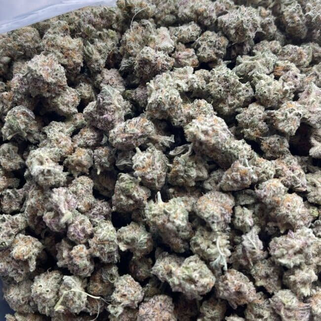 28gr - ALIEN COOKIES (SMALLS) - BALANCED HYBRID - (AAA) - Image 4