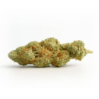 High-resolution cannabis bud on a crisp white background, showing detailed trichomes and natural green and orange coloration
