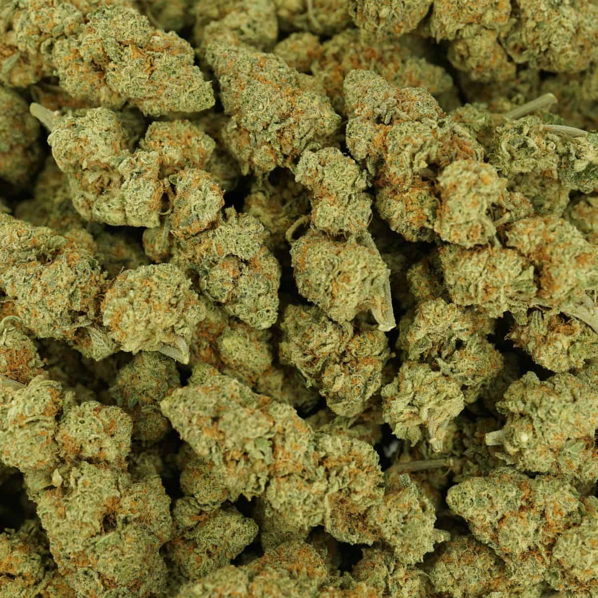 28gr - ALASKAN THUNDER FUCK - SATIVA - (AAA) - Image 3