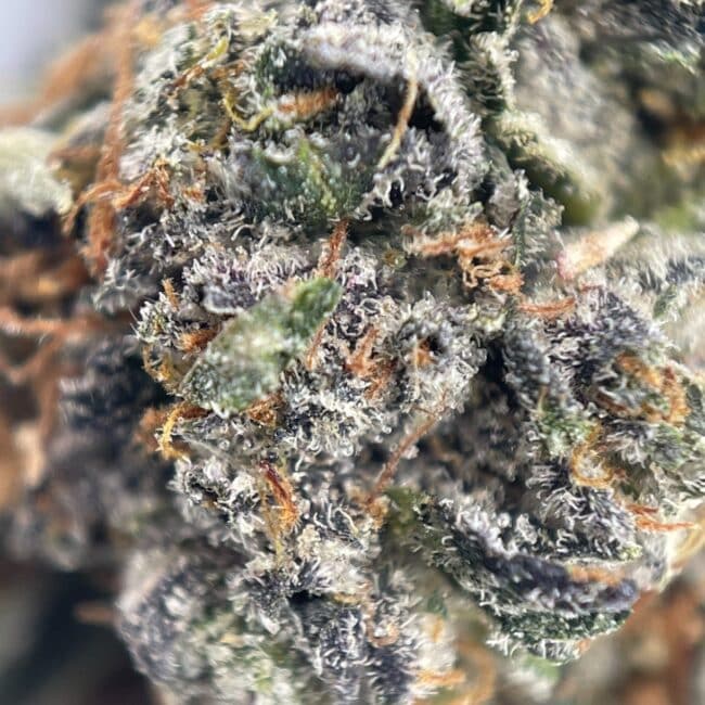28gr - CHERRY SODA KUSH - INDICA - (AAA) - Image 2