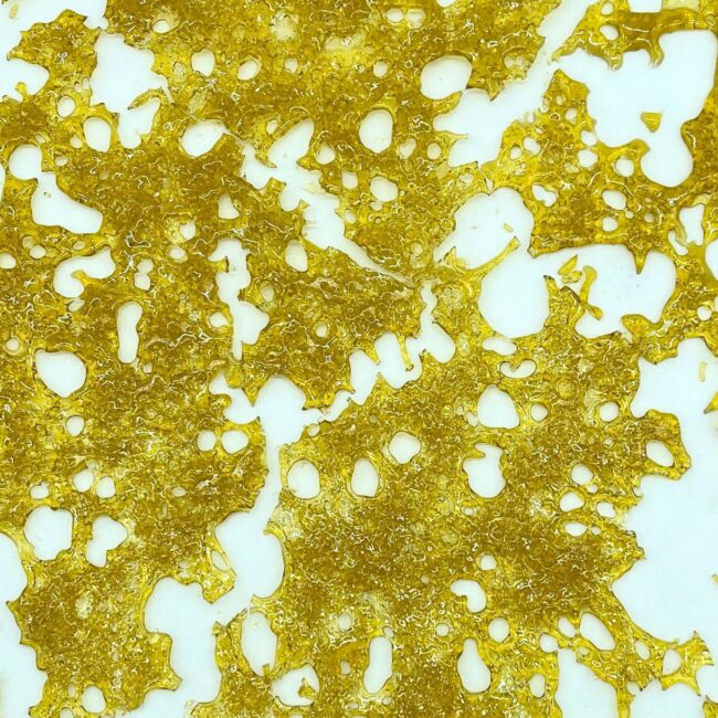 GREASE MONKEY (SHATTER)