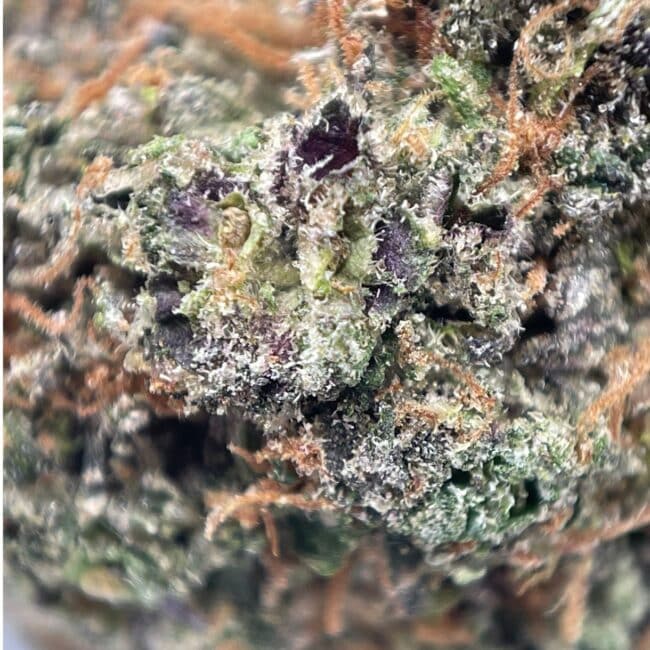 28gr - PURPLE JOLLY RANCHER - INDICA - (AAA) - Image 2