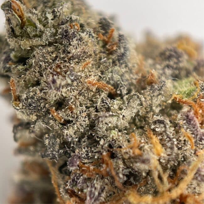 28gr - LAZER FUEL - INDICA - (AAA) - Image 2