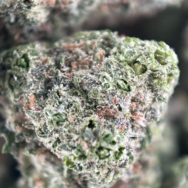 28gr - MAC N' CHEESE (SMALLS) - INDICA - (AAA) - Image 2