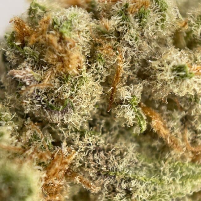 28gr - NATURAL BORN KILLER (SMALLS) - INDICA - (AAA) - Image 2